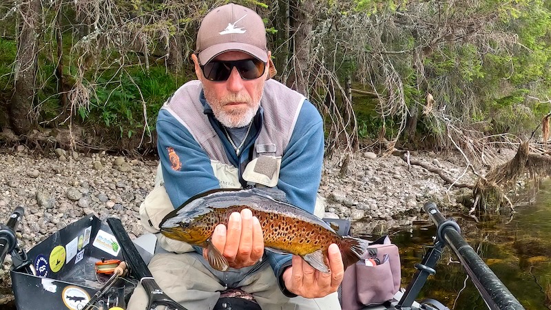 260728 rena henrik leth trout
