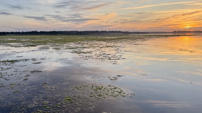 260814 mariager hadsund salat