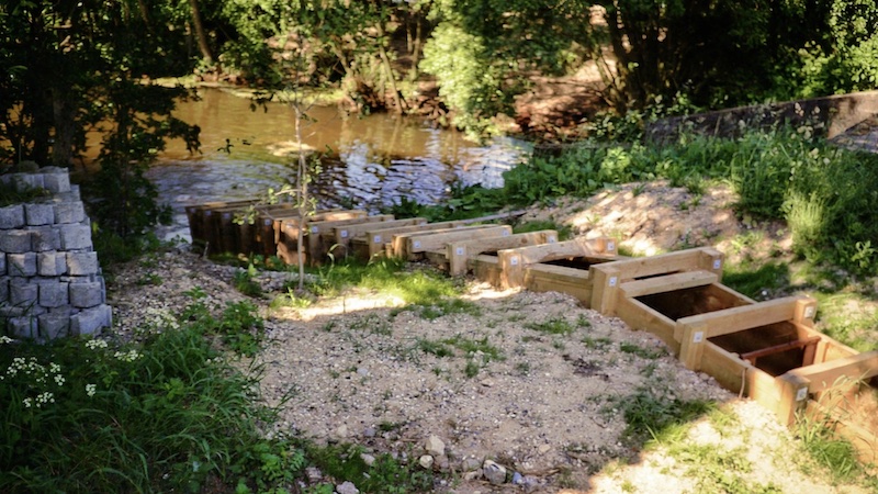 260902 mariager fisketrappe aaMoelle