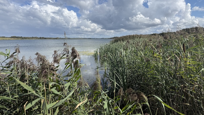 Glenstrup Sø 260909 glenstrup vestenden