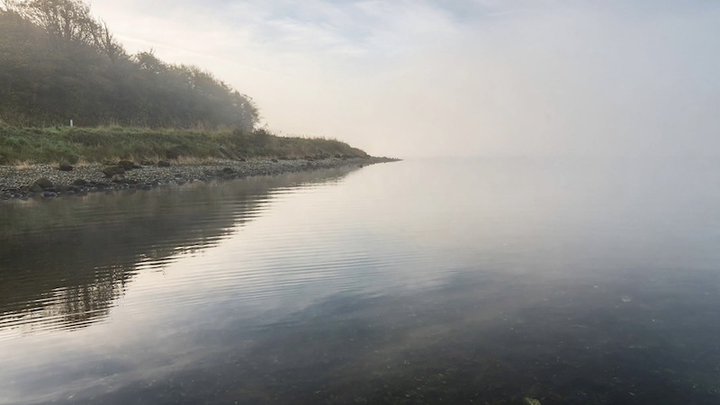 261019 fladbjerg bredden dis