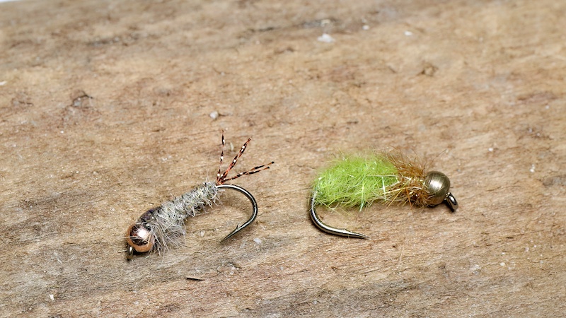 221231 green larvea nymph
