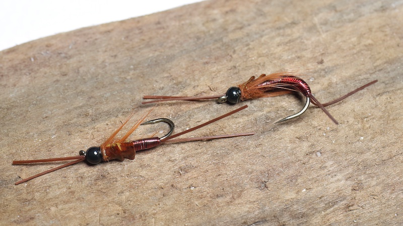 221231 stoneflye nymphs cobber
