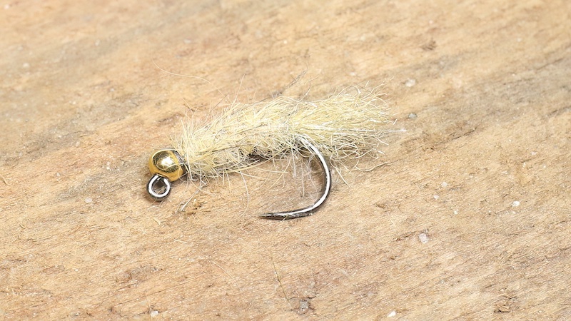 230102 hareear goldhead