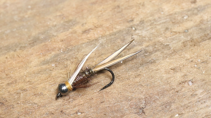 230102 prince nymph