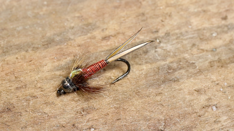 230202 cobber john