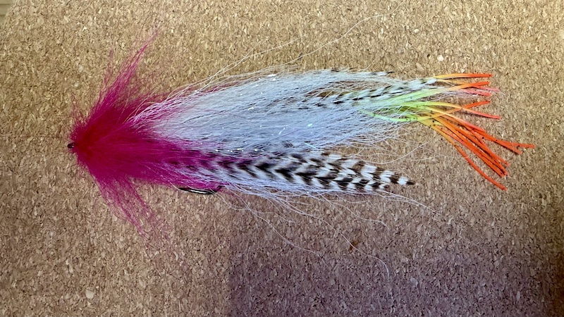 Geddeflue 260221 geddeflue bagdel