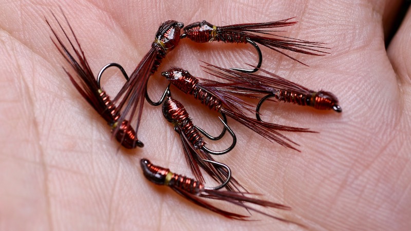 red pheasant tail nymph