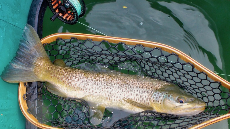 ponton trout net boat 