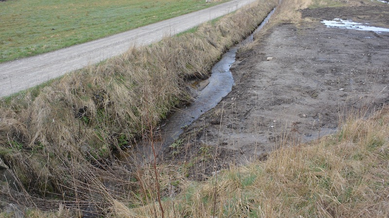 1017 kv grundlag bad stream