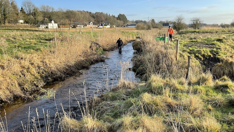 Optælling af gydepladser 230117 Oesterkaer Baek gydevandring