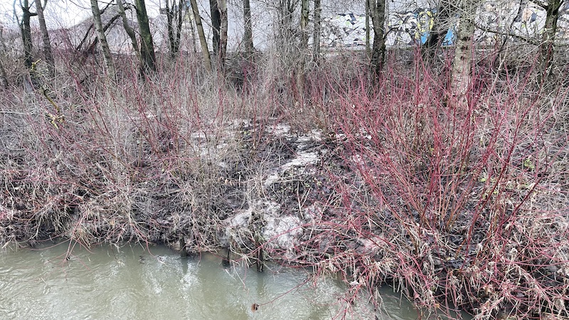 240227 nordic waste alling aa
