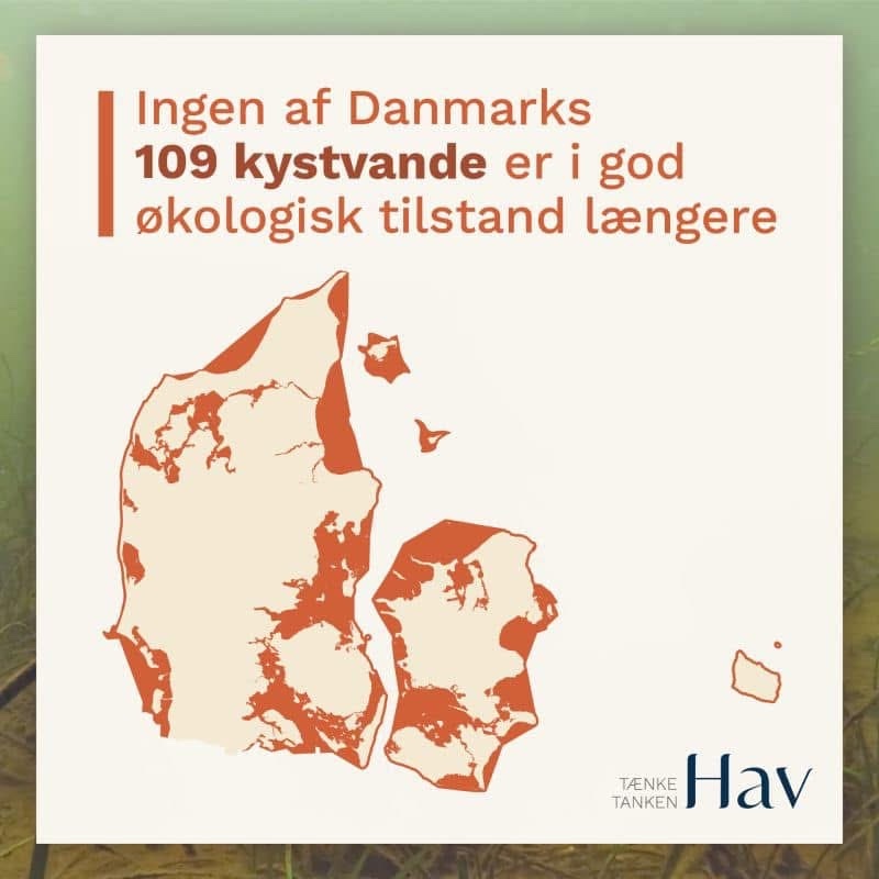 Kystvande ikke i god økologisk tilstand 250421 renseanlæg kystvande