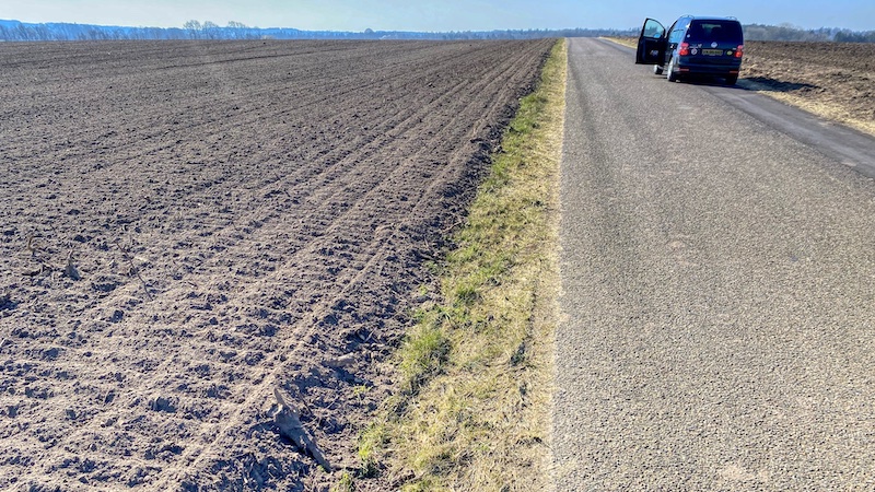 250522 opdyrket vejkant