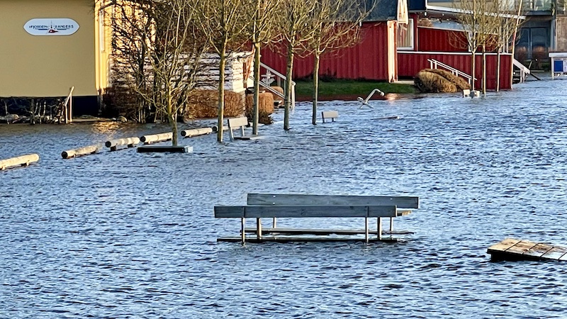 Oversvømmelse i Randers 250608 vand randers