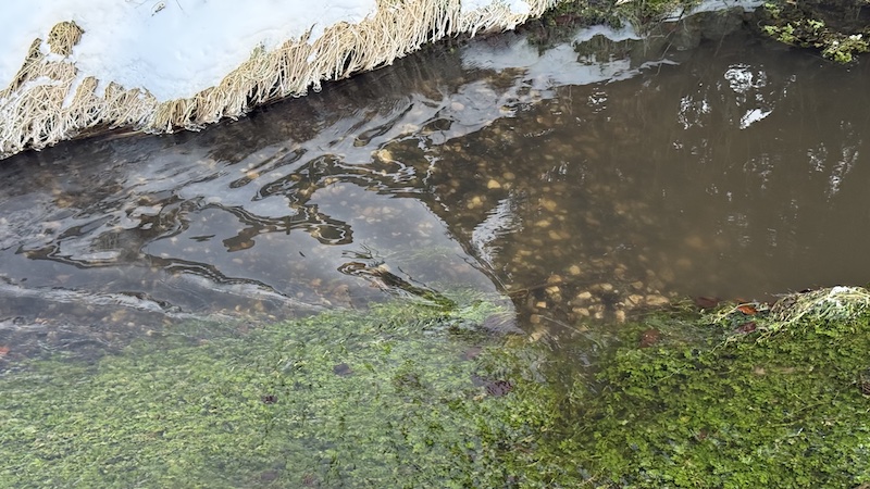 260111 gydebanke otorslevaa