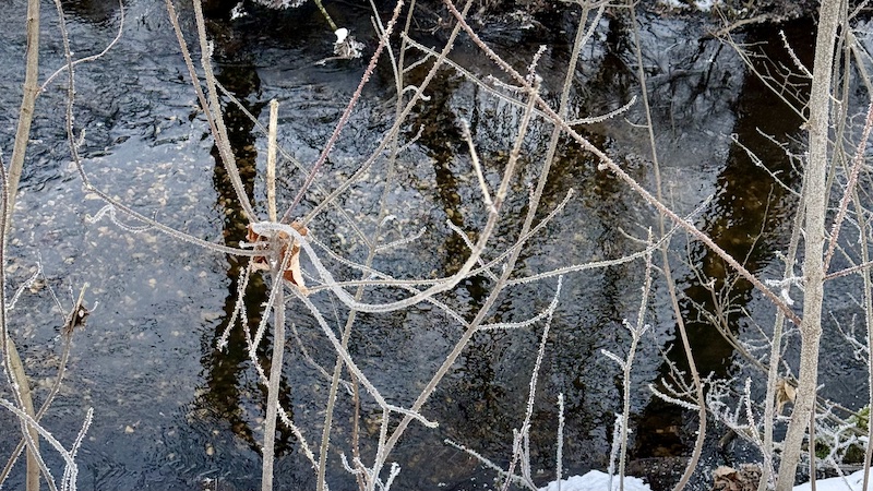 260111 gydebanke otorslevaa