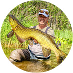 rund gedde on fly
